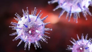 Световната медицина в шок: Откриха неизвестен вирус в човешкото тяло!