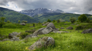 Greens and Rights use Vitosha as a money-box