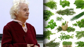 Народната лечителка Лидия: С тази лечебна вода си излекувах всички кариеси! (РЕЦЕПТА)