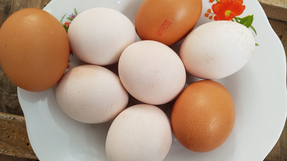 Белите или кафявите яйца? Кои са по-полезни за здравето