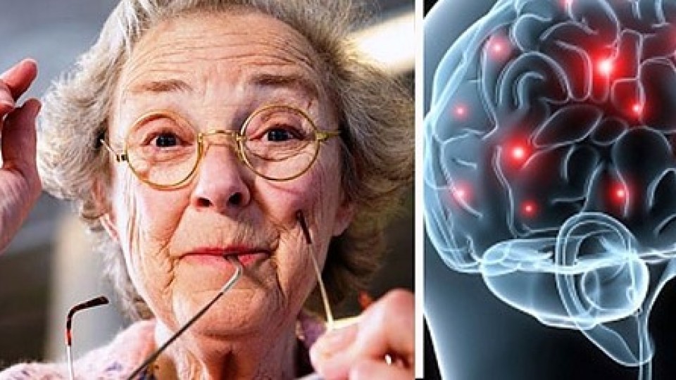 Природен еликсир пази мозъка от Алцхаймер и подобрява зрението