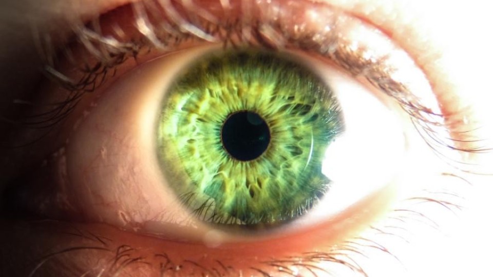 Кое прави хората със зелени очи уникални?