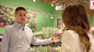 Близо 3 млн. бр. цветя и растения се купуват годишно в хипермаркетите на Kaufland  България