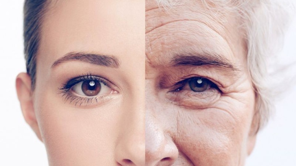 Учените посочиха: Кога започваме да стареем?Изненадата е огромна