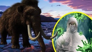 Учени бият тревога: Древни вируси избиват всичко по пътя си
