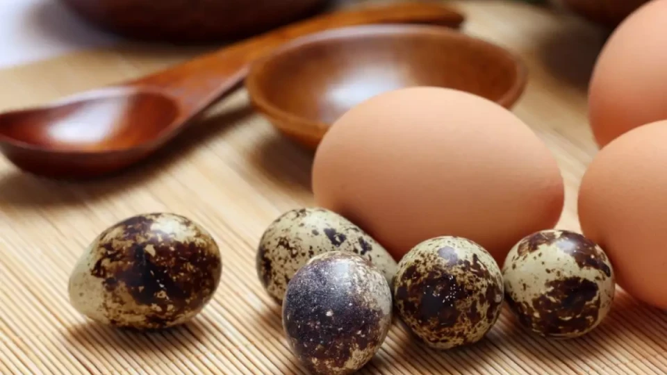 Защо пъдпъдъчите яйца са по-полезни от кокошите?