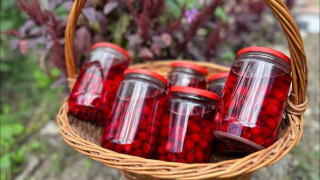 Защо компот от дренки? И какви ползи носят за здравето