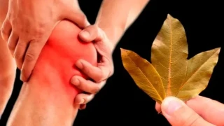 Болят ви краката? С лек от дафинов лист болката отшумява (И струва жълти стотинки)