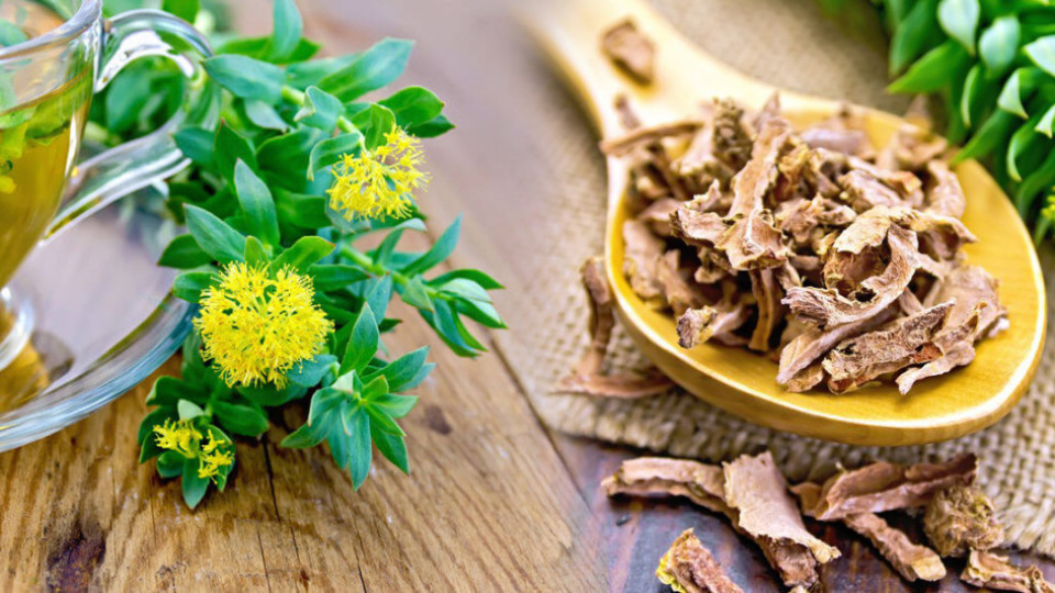 Уникално: Комбинация от три билки прави чудеса с нервната система! Уникално: Комбинация от три билки прави чудеса с нервната система!