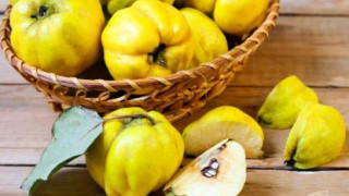 С какво са полезни дюлите за тялото ни? И кога ни вредят