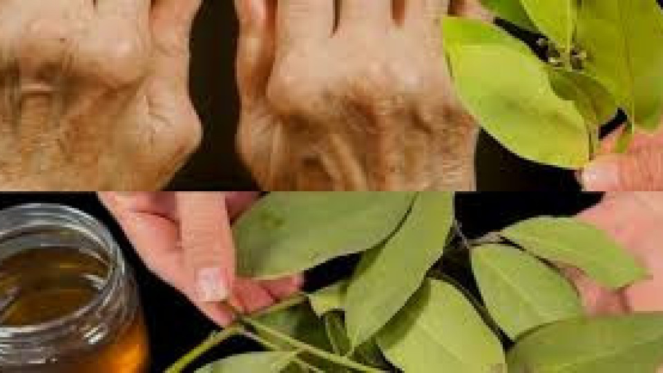 С няколко листа дафинов лист: Този евтин лек ни спасява от болките в краката!