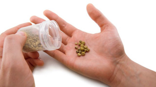 Страдате от камъни в бъбреците! Четири природни отвари ни помагат срещу болките