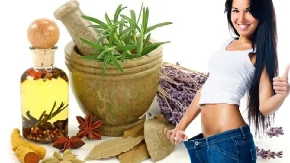 Отслабване с билки: Ето кои са в челните позиции?