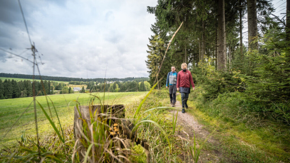Спецовете отговарят: Защо дългата разходка е по-полезна за сърцето от няколко кратки