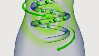 С тези билки и подправки: Метаболизмът ви се забързва като ракета