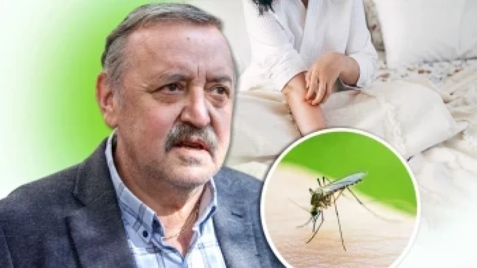 Проф. Тодор Кантарджиев: Втори болен от чикунгуня! (Ето какви спешни мерки да вземете)