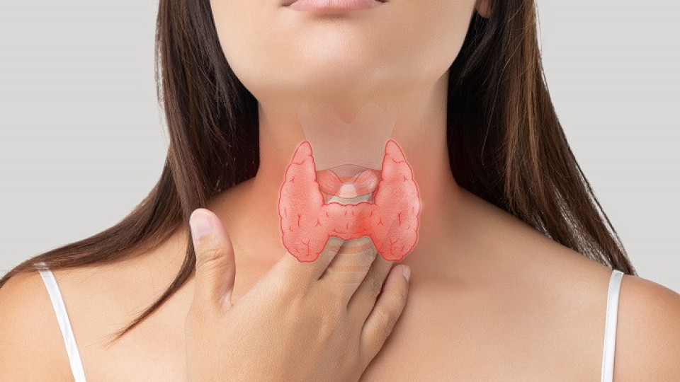Какво още трябва да знаем за болестта на Хашимото?