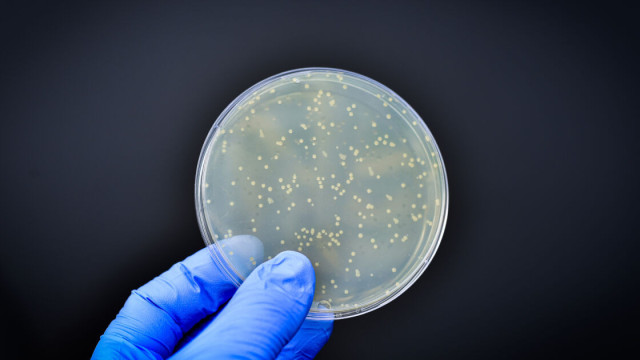 Откриха бактерия на 5000 години! Никакви антибиотици не й действат