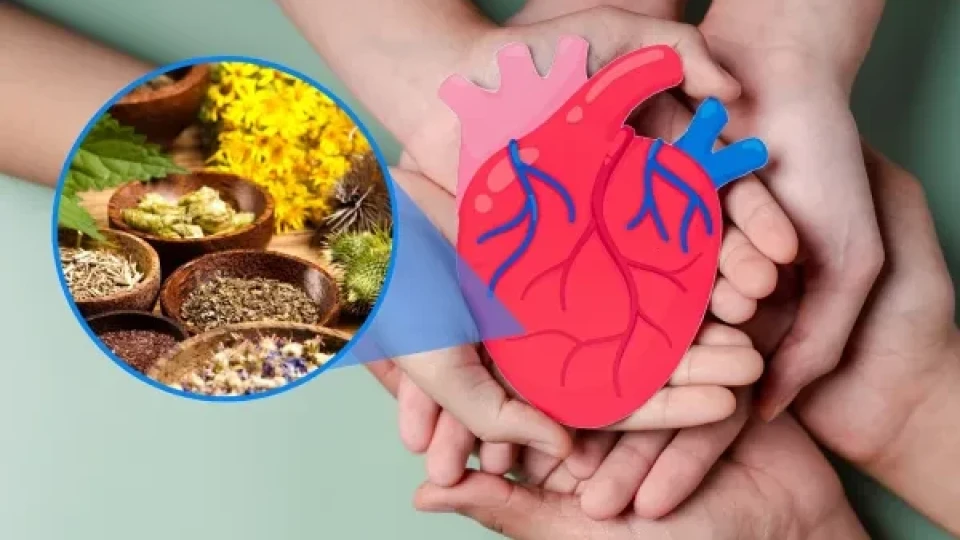 За да се радвате на здраво сърце: Винаги слагайте тези билки в менюто си