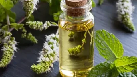 Учени доказаха: Отслабвате, като дишате от аромата на тази билка!