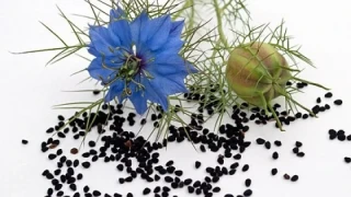 Чудо! Библейска билка ни спасява от куп опасни болести