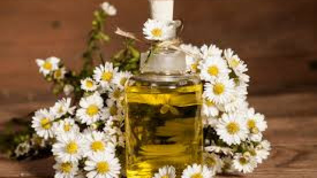 Открийте чудото на „скромната“ лайка!Древните са я издигали в култ