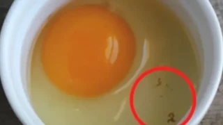 Опасни ли са червените петна и другите аномалии по яйцата?