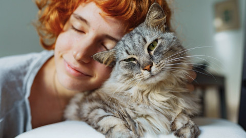 Учените доказаха! Котката носи много ползи за здравето ни