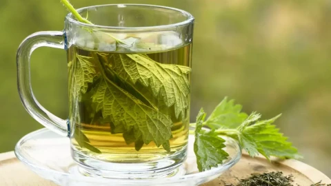 Водата от коприва е чудодейна! Пречиства кръвта, лекува от болести на гръбнака